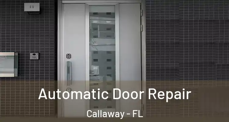  Automatic Door Repair Callaway - FL