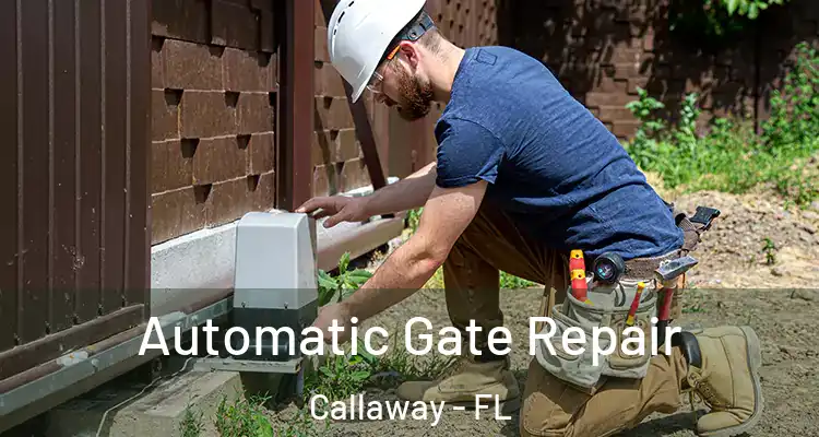  Automatic Gate Repair Callaway - FL
