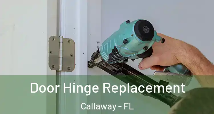  Door Hinge Replacement Callaway - FL