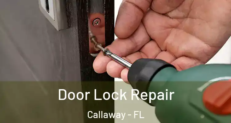  Door Lock Repair Callaway - FL