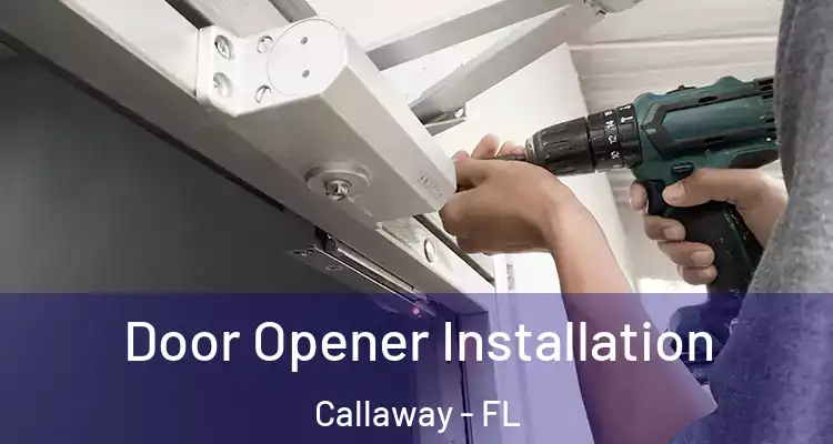  Door Opener Installation Callaway - FL
