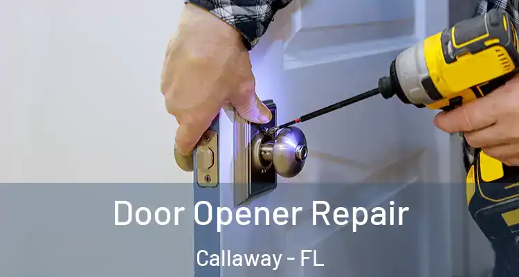  Door Opener Repair Callaway - FL
