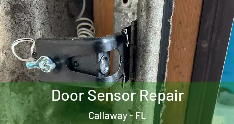  Door Sensor Repair Callaway - FL