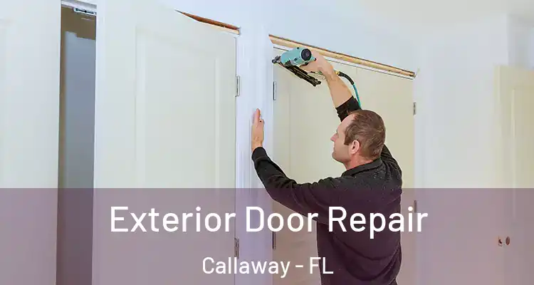  Exterior Door Repair Callaway - FL