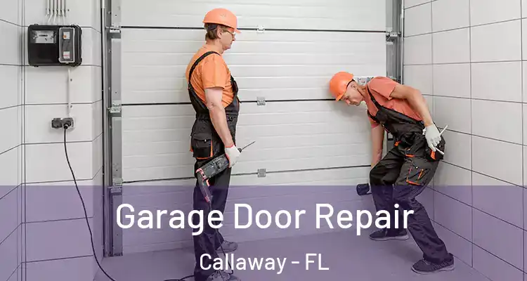  Garage Door Repair Callaway - FL