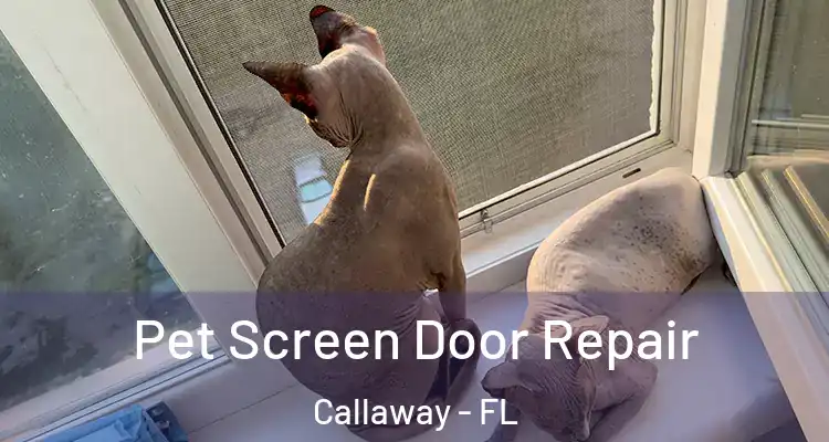  Pet Screen Door Repair Callaway - FL