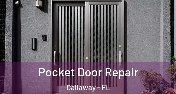  Pocket Door Repair Callaway - FL