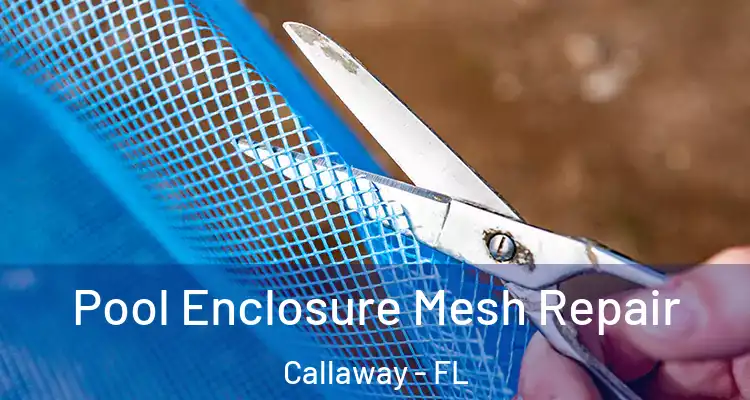  Pool Enclosure Mesh Repair Callaway - FL