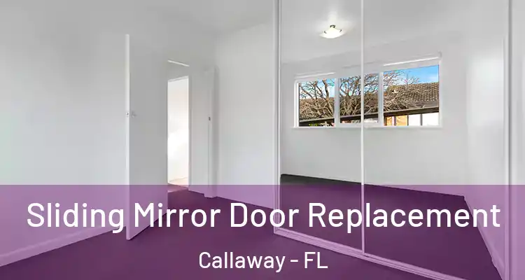  Sliding Mirror Door Replacement Callaway - FL