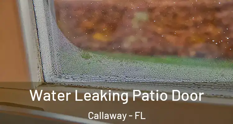  Water Leaking Patio Door Callaway - FL